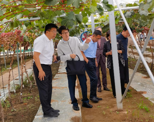 学校党委书记刘广林看望“鲅鱼圈葡萄科技小院”工作学习的人前露出
师生